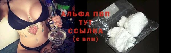 мет Каменка